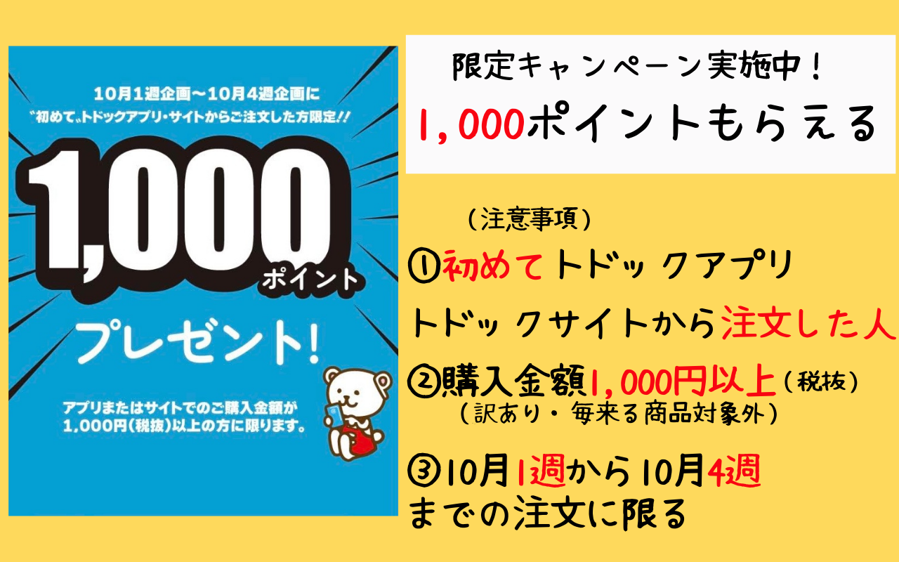 トドック※購入後でもいいのでプロフ読んで 様専用】+stbp.com.br